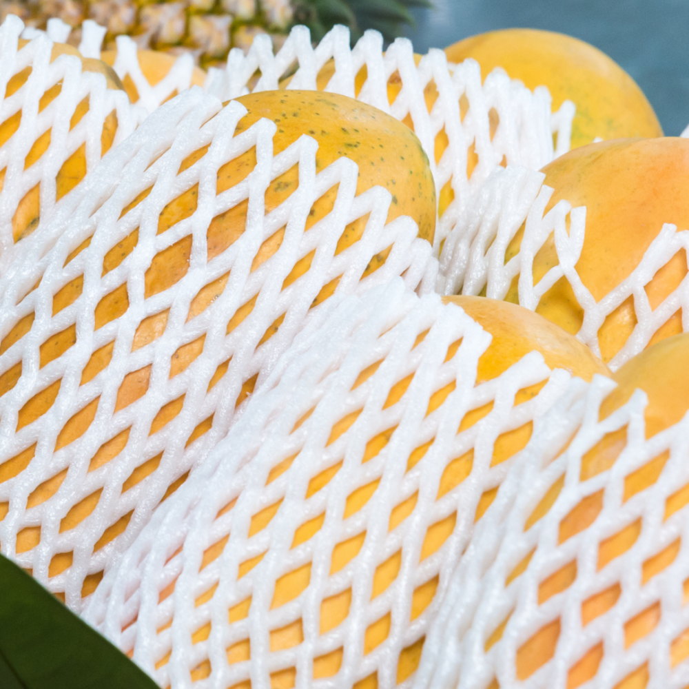 Aironet | Foam Sleeves