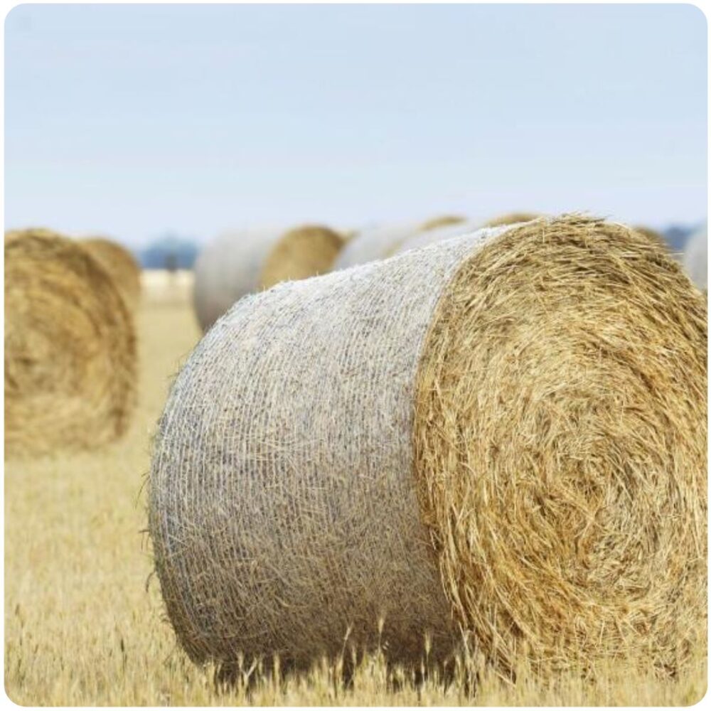Baling Net