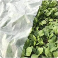 Frost Cover