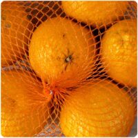 Onion Net
